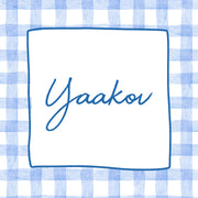 Blue Checkered Upsherin