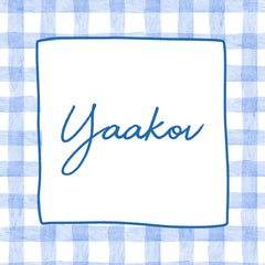 Blue Checkered Upsherin