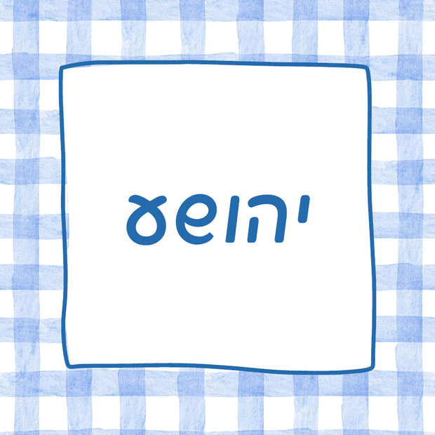 Blue Checkered Upsherin