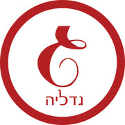 script hebrew initial